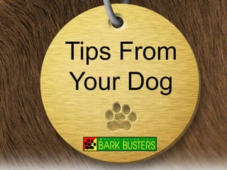 Tips From
Your Dog
 