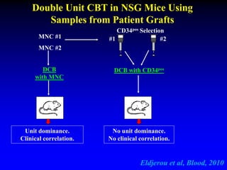 DCB with CD34pos
#1 #2
DCB
with MNC
MNC #1
MNC #2
CD34pos Selection
Unit dominance.
Clinical correlation.
Double Unit CBT in NSG Mice Using
Samples from Patient Grafts
Eldjerou et al, Blood, 2010
No unit dominance.
No clinical correlation.
 