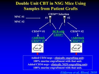DCB with
CD34pos
CD34neg #2
+Add-back
CD34neg #2
#1 #2MNC #1
MNC #2
CD34neg #1
+Add-back
CD34neg #1
CD34pos Selection
Added CD34 negs - clinically engrafting unit:
100% murine engraftment with that unit.
Added CD34 negs - clinically NON-engrafting unit:
100% murine engraftment with that unit.
Double Unit CBT in NSG Mice Using
Samples from Patient Grafts
Eldjerou et al, Blood, 2010
 