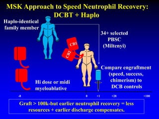 -8 0 +1 +28 +100
Compare engraftment
(speed, success,
chimerism) to
DCB controls
Hi dose or midi
myeloablative
MSK Approach to Speed Neutrophil Recovery:
DCBT + Haplo
Graft > 100k-but earlier neutrophil recovery = less
resources + earlier discharge compensates.
34+ selected
PBSC
(Miltenyi)
Haplo-identical
family member
 
