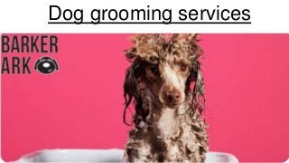Dog grooming services
 