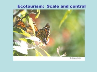 Ecotourism: Scale and control
 