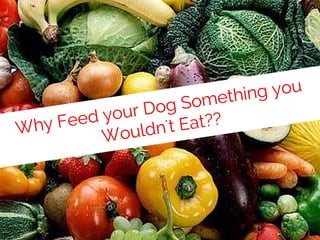 Why Feed your Dog Something you 
Wouldn't Eat?? 
 