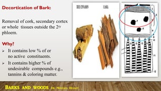 Decortication of Bark:
Removal of cork, secondary cortex
or whole tissues outside the 2ry
phloem.
Why?
➢ It contains low % of or
no active constituents.
➢ It contains higher % of
undesirable compounds e.g.,
tannins & coloring matter.
Barks and woods Dr. Mostafa Hegazy
 