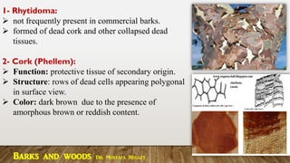 1- Rhytidoma:
➢ not frequently present in commercial barks.
➢ formed of dead cork and other collapsed dead
tissues.
2- Cork (Phellem):
➢ Function: protective tissue of secondary origin.
➢ Structure: rows of dead cells appearing polygonal
in surface view.
➢ Color: dark brown due to the presence of
amorphous brown or reddish content.
Barks and woods Dr. Mostafa Hegazy
 