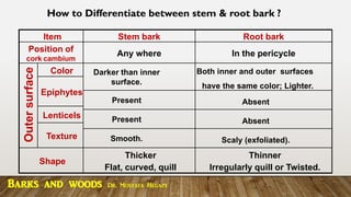 How to Differentiate between stem & root bark ?
Item Stem bark Root bark
Position of
cork cambium
Any where In the pericycle
Outer
surface
Color Darker than inner
surface.
Both inner and outer surfaces
have the same color; Lighter.
Epiphytes
Present Absent
Lenticels Present Absent
Texture Smooth. Scaly (exfoliated).
Shape
Thicker
Flat, curved, quill
Thinner
Irregularly quill or Twisted.
Barks and woods Dr. Mostafa Hegazy
 