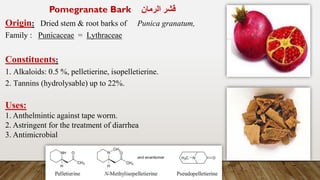 Pomegranate Bark ‫الرمان‬ ‫قشر‬
Origin: Dried stem & root barks of Punica granatum,
Family : Punicaceae = Lythraceae
Constituents:
1. Alkaloids: 0.5 %, pelletierine, isopelletierine.
2. Tannins (hydrolysable) up to 22%.
Uses:
1. Anthelmintic against tape worm.
2. Astringent for the treatment of diarrhea
3. Antimicrobial
 