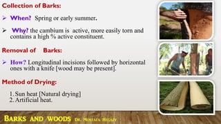 Collection of Barks:
➢ When? Spring or early summer.
➢ Why? the cambium is active, more easily torn and
contains a high % active constituent.
Removal of Barks:
➢ How? Longitudinal incisions followed by horizontal
ones with a knife [wood may be present].
Method of Drying:
1.Sun heat [Natural drying]
2.Artificial heat.
Barks and woods Dr. Mostafa Hegazy
 