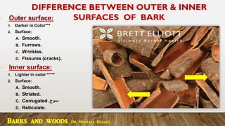Barks and woods Dr. Mostafa Hegazy
DIFFERENCE BETWEEN OUTER & INNER
SURFACES OF BARK
 Outer surface:
1. Darker in Color***
2. Surface:
A. Smooth.
B. Furrows.
C. Wrinkles.
D. Fissures (cracks).
 Inner surface:
1. Lighter in color *****
2. Surface:
A. Smooth.
B. Striated.
C. Corrugated ‫مموج‬
.
D. Reticulate.
 