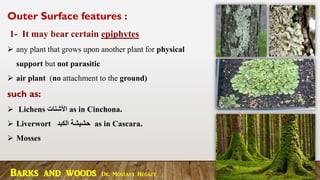 Barks and woods Dr. Mostafa Hegazy
Outer Surface features :
1- It may bear certain epiphytes
➢ any plant that grows upon another plant for physical
support but not parasitic
➢ air plant (no attachment to the ground)
such as:
➢ Lichens ‫األشنات‬ as in Cinchona.
➢ Liverwort ‫الكبد‬ ‫حشيشة‬ as in Cascara.
➢ Mosses
 