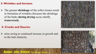 3- Wrinkles and furrows:
➢ The greater shrinkage of the softer tissues result
in formation of wrinkles (because the shrinkage
of the barks during drying occur chiefly
transversely.
4- Cracks and fissures:
➢ arise owing to continued increase in growth and
to the lack elasticity.
Barks and woods Dr. Mostafa Hegazy
 