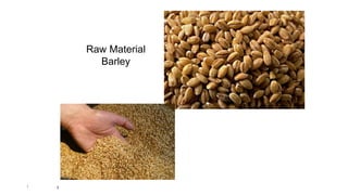 1 1
Raw Material
Barley
 