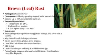 Comprehensive Overview of Barley Diseases: Identification, Life Cycles ...