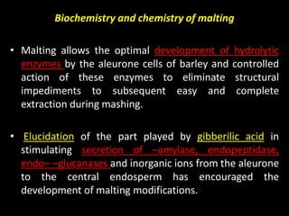Barley classification, malting and processing | PDF