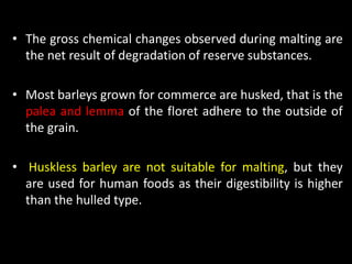 Barley classification, malting and processing | PDF