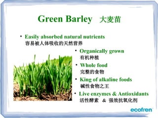 • Easily absorbed natural nutrients
• Organically grown
• King of alkaline foods
• Live enzymes & Antioxidants
• Whole food
容易被人体吸收的天然营养
有机种植
碱性食物之王
活性酵素 & 强效抗氧化剂
完整的食物
Green Barley 大麦苗
 