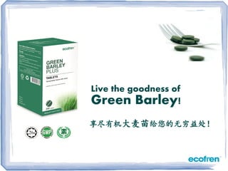 Live the goodness of
Green Barley!
享尽有机大麦苗给您的无穷益处！
 