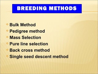Barley (presentation) | PPT