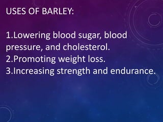 USES OF BARLEY:
1.Lowering blood sugar, blood
pressure, and cholesterol.
2.Promoting weight loss.
3.Increasing strength and endurance.
 