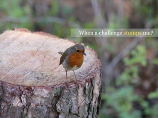 When a challenge stumps me?
 