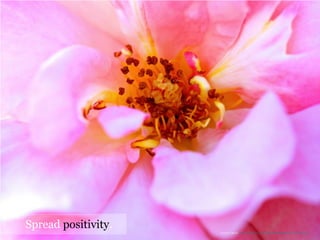 Spread positivity.
PHOTO CREDIT: https://www.flickr.com/photos/49460206@N03/14578514878/
 