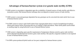 barnase barstar system and development of inbreds using Doubled haploid ...