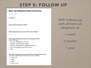 Running a Successful Barn Cat Program | PDF