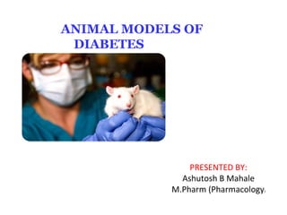 ANIMAL MODELS OF
DIABETES
PRESENTED BY:
Ashutosh B Mahale
M.Pharm (Pharmacology)
 