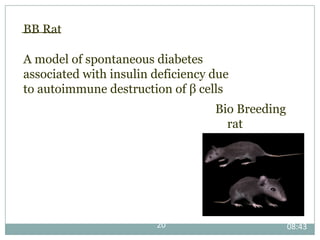 in vivo antidiabetic model | PPT