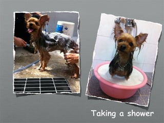 Taking a shower
 