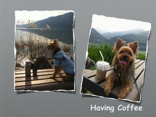 Having Coffee
 