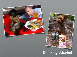 Drinking Alcohol
 