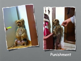 Punishment
 
