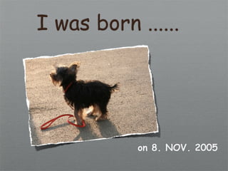 I was born ......




            on 8. NOV. 2005
 
