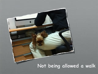 Not being allowed a walk
 