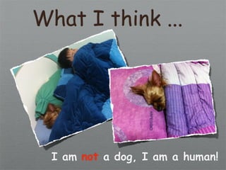 What I think ...




  I am not a dog, I am a human!
 