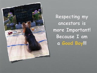 Respecting my
  ancestors is
more Important!
 Because I am
  a Good Boy!!!
 
