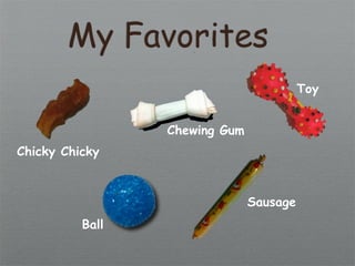 My Favorites
                                         Toy


                 Chewing Gum
Chicky Chicky



                               Sausage
          Ball
 