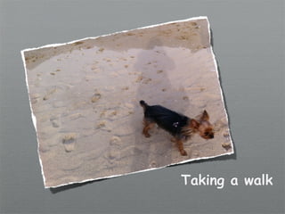 Taking a walk
 