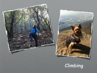 Climbing
 