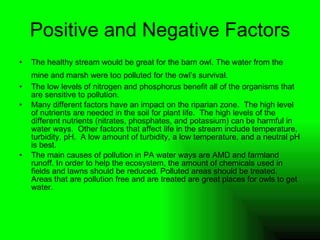 Positive and Negative Factors The healthy stream would be great for the barn owl. The water from the mine and marsh were too polluted for the owl’s survival.   The low levels of nitrogen and phosphorus benefit all of the organisms that are sensitive to pollution. Many different factors have an impact on the riparian zone.  The high level of nutrients are needed in the soil for plant life.  The high levels of the different nutrients (nitrates, phosphates, and potassium) can be harmful in water ways.  Other factors that affect life in the stream include temperature, turbidity, pH.  A low amount of turbidity, a low temperature, and a neutral pH is best. The main causes of pollution in PA water ways are AMD and farmland runoff. In order to help the ecosystem, the amount of chemicals used in fields and lawns should be reduced. Polluted areas should be treated.  Areas that are pollution free and are treated are great places for owls to get water. 
