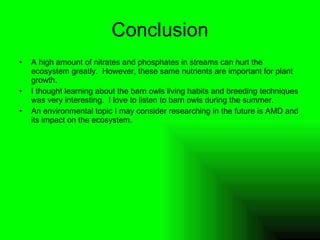 Conclusion A high amount of nitrates and phosphates in streams can hurt the ecosystem greatly.  However, these same nutrients are important for plant growth. I thought learning about the barn owls living habits and breeding techniques was very interesting.  I love to listen to barn owls during the summer. An environmental topic I may consider researching in the future is AMD and its impact on the ecosystem. 