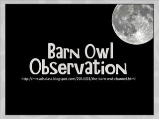 http://mrssolsclass.blogspot.com/2014/03/the-barn-owl-channel.html
 