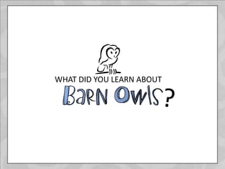 WHAT DID YOU LEARN ABOUT
 
