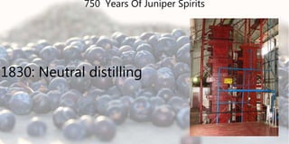 1830: Neutral distilling
750 Years Of Juniper Spirits
 