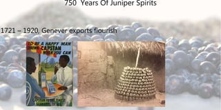 1721 – 1920, Genever exports flourish
750 Years Of Juniper Spirits
 