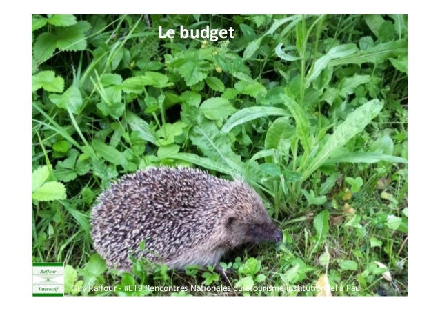 Rencontres pau tarbes
