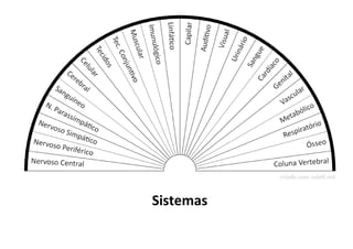 Sistemas
 