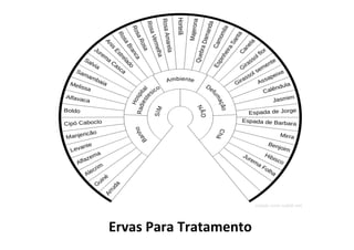 Ervas Para Tratamento
 
