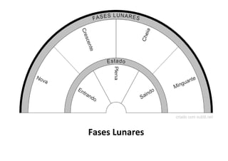 Fases Lunares
 